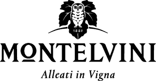 MONTELVINI srl