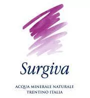 Surgiva